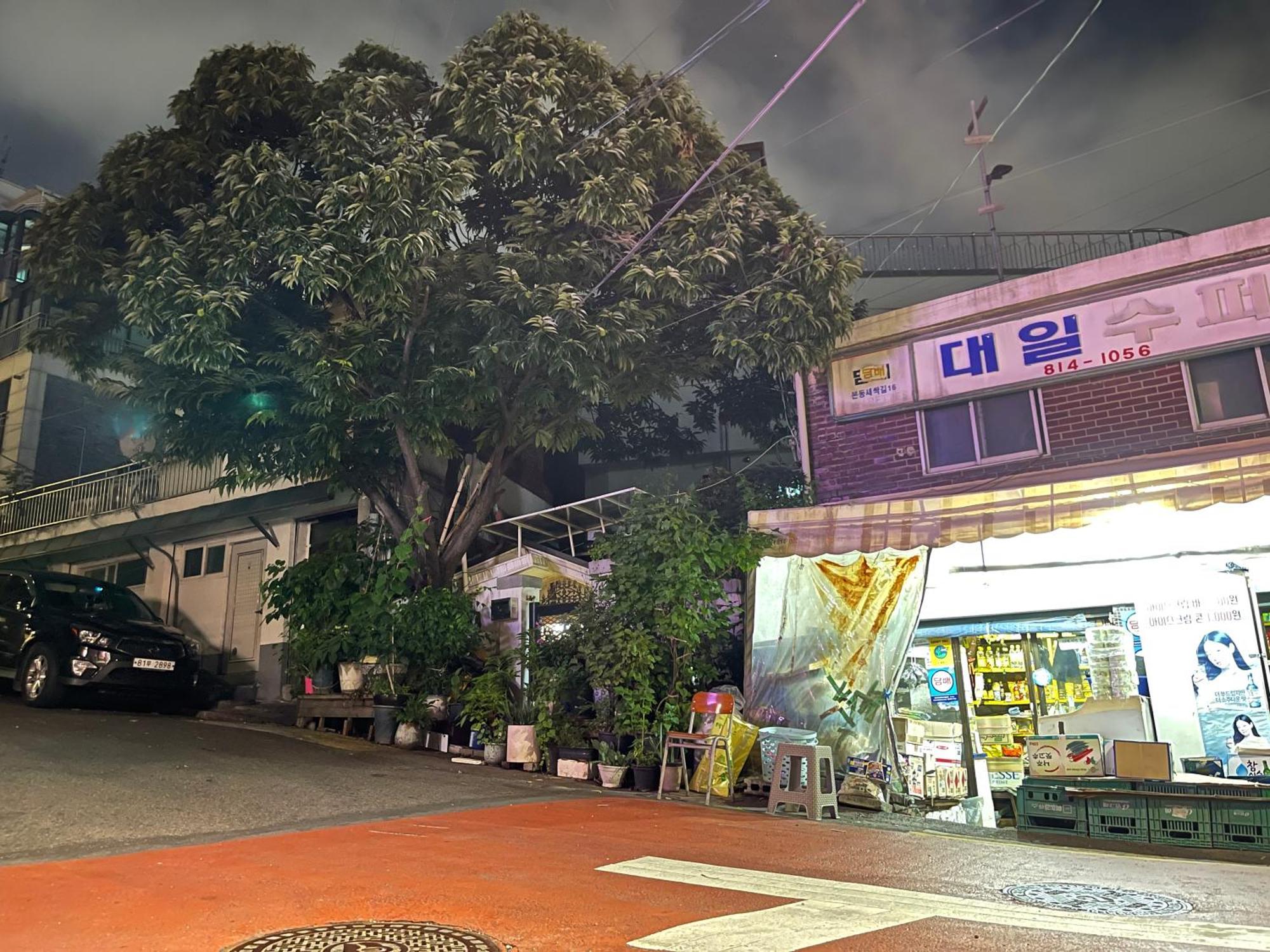 Hhzib, Homestay On A Hill In The Heart Of Seoul - 'Best Seoul Stay 2024' By ソウル特別市 エクステリア 写真